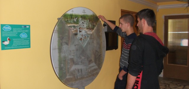 DSCF3365