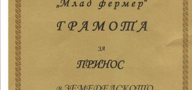 Image (1)