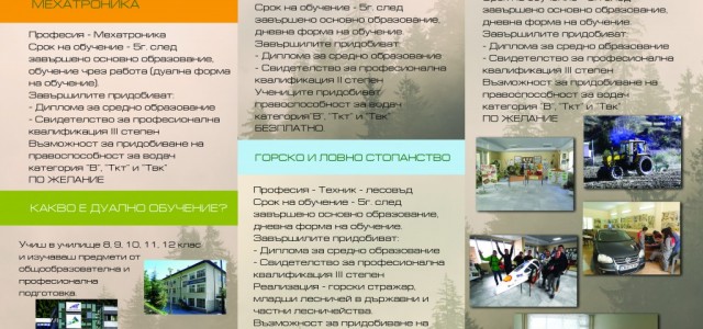 Дипляна ГРЪБ НОВИ В2.1