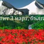 b9def02b6d20f4f0adb6e889f99af491_L