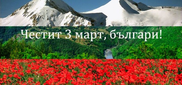 b9def02b6d20f4f0adb6e889f99af491_L
