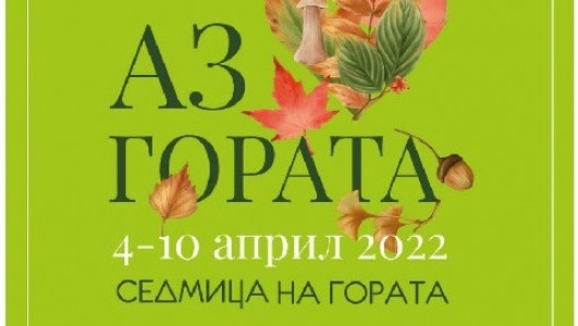 articles__01b2ad4a09438293b0d65061733efd1f